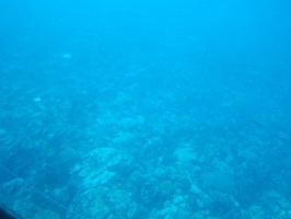 Grenada Submarine4